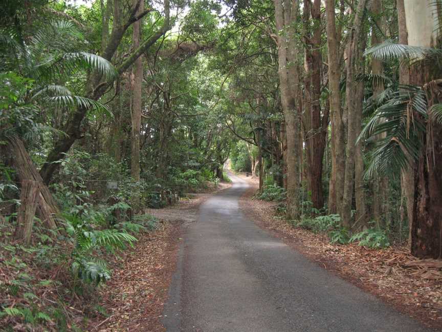 Overnight Wildfire Tours, Robina Town Centre, QLD