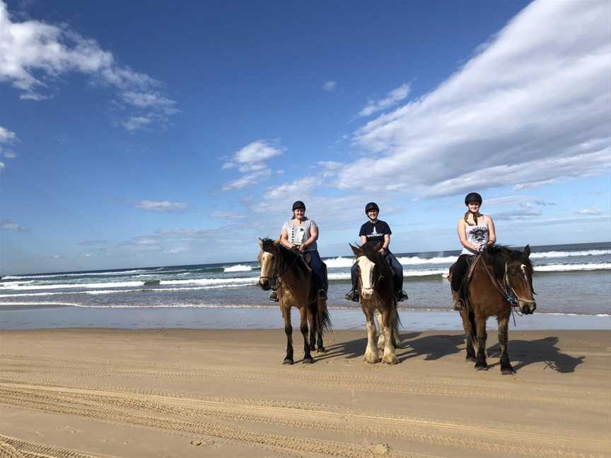 Sahara Trails Horse Riding Port Stephens, Anna Bay, NSW