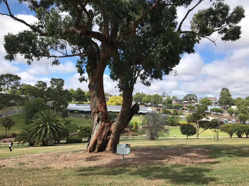 Drouin Self-guided Tree Walks, Drouin, VIC