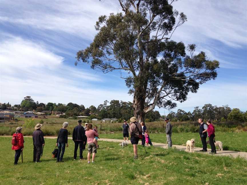 Drouin Self-guided Tree Walks, Drouin, VIC