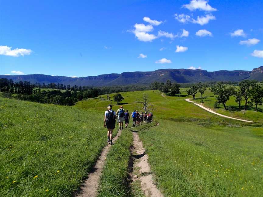 Lifes an Adventure - The Pack free Walking Experience, Belrose, NSW