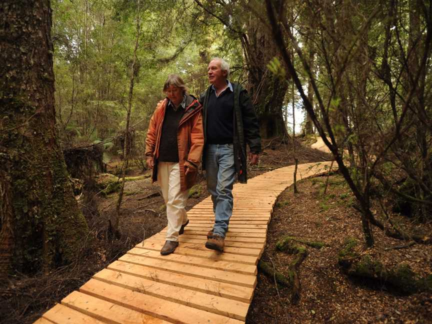 Tarkine Wilderness Walks, Wynyard, TAS