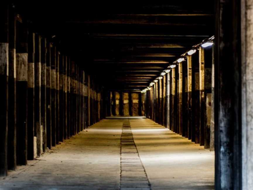 Cockatoo Island Dark Past Tour (all-ages), Cockatoo Island, NSW