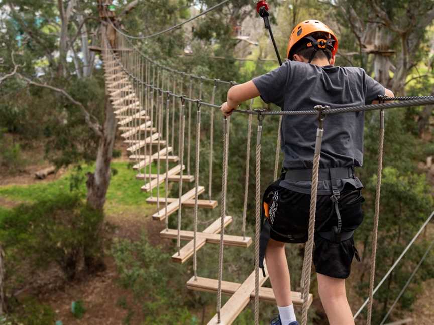 TreeClimb, Adelaide, SA