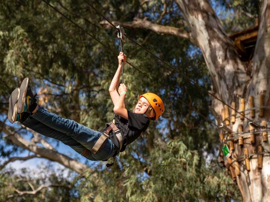 TreeClimb, Adelaide, SA