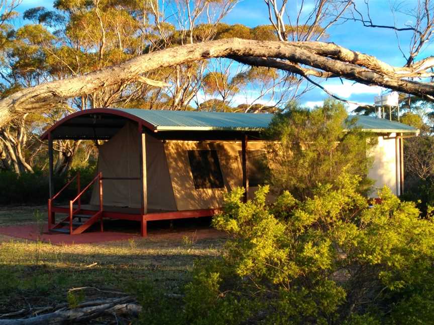 Gawler Ranges Wilderness Safaris, Wudinna, SA