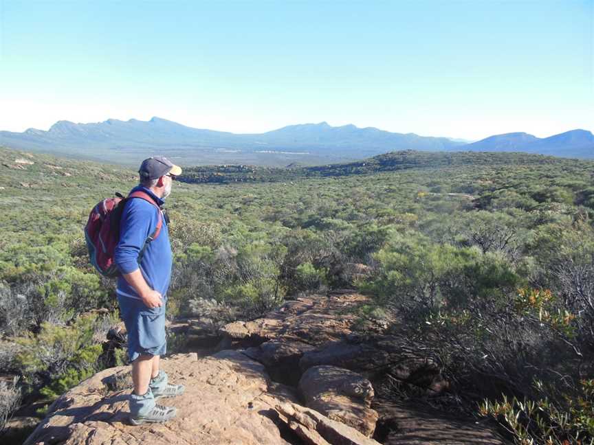 Walking the Flinders Ranges - Three and Five Day Guided Bushwalks, Hawker, SA