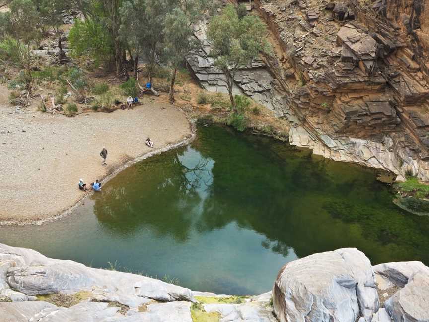 Walking the Flinders Ranges - Three and Five Day Guided Bushwalks, Hawker, SA