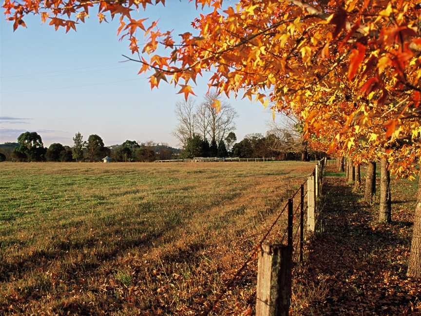 Camden Country Tour, Elderslie, NSW