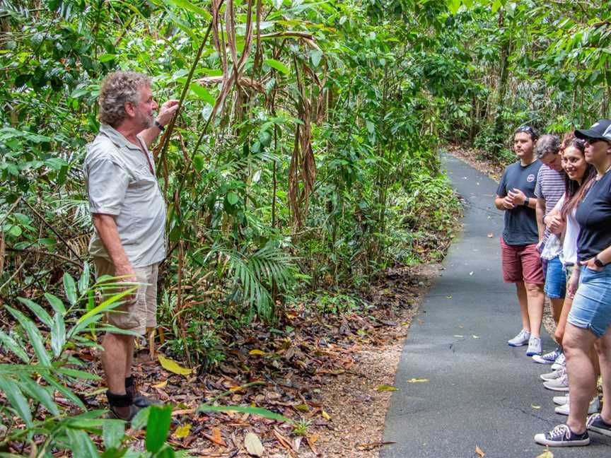 Wooroonooran Safaris, Portsmith, QLD