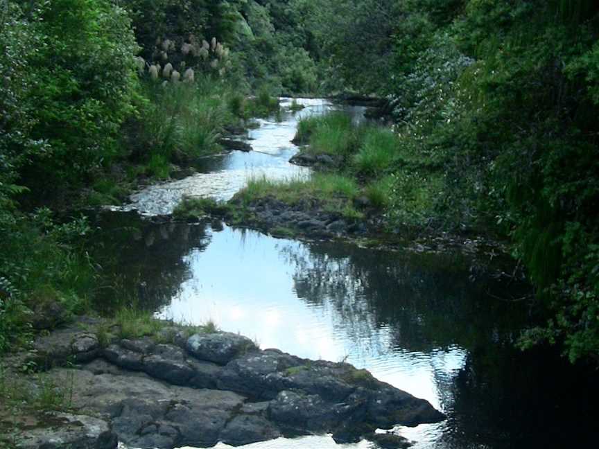 Adventure Puketi, Okaihau, New Zealand