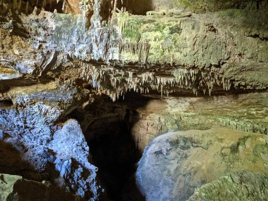 Adventure Waikato, Matira, New Zealand