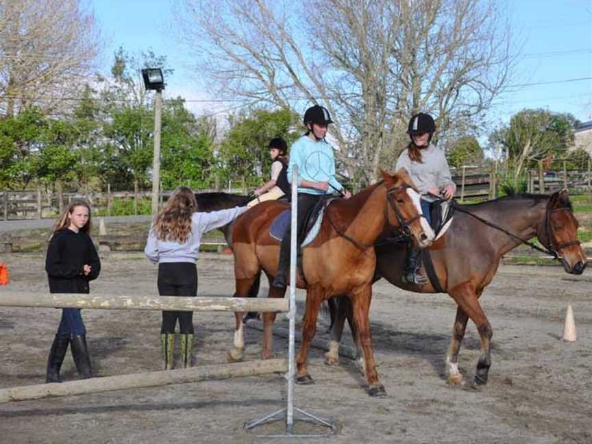 Auckland Equestrian Centre , Coatesville, New Zealand