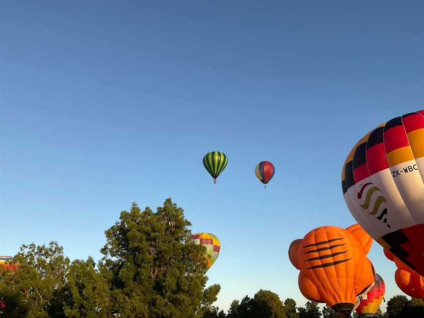 Balloons over Waikato, Hamilton Lake, New Zealand