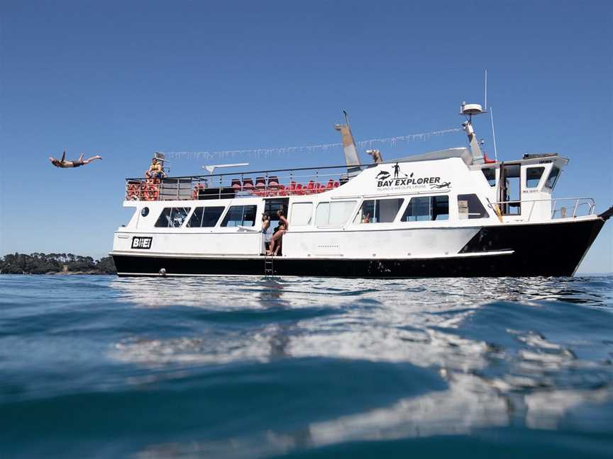 Bay Explorer Dolphin and Wildlife Cruise, Tauranga, New Zealand