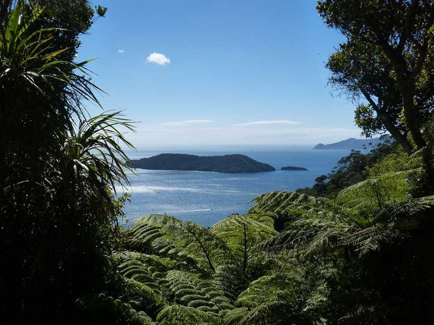 Beachcomber Cruises. Queen Charlotte Cruise & Track Adventures, Picton, New Zealand