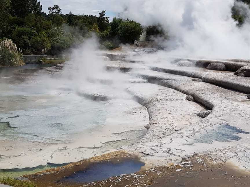 Bike Hike Stay, Tours and Packages, Leamington, New Zealand