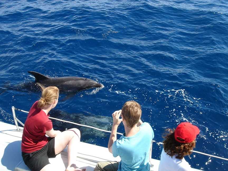 Carino Wildlife Cruises, Paihia, New Zealand