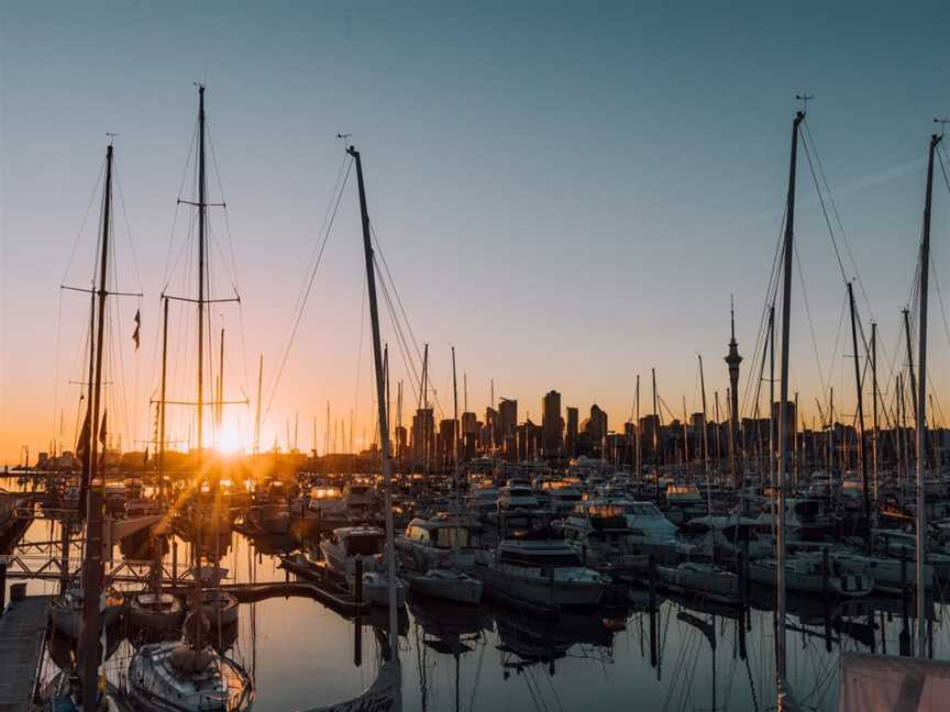 Carnival Charters, Bayswater, New Zealand