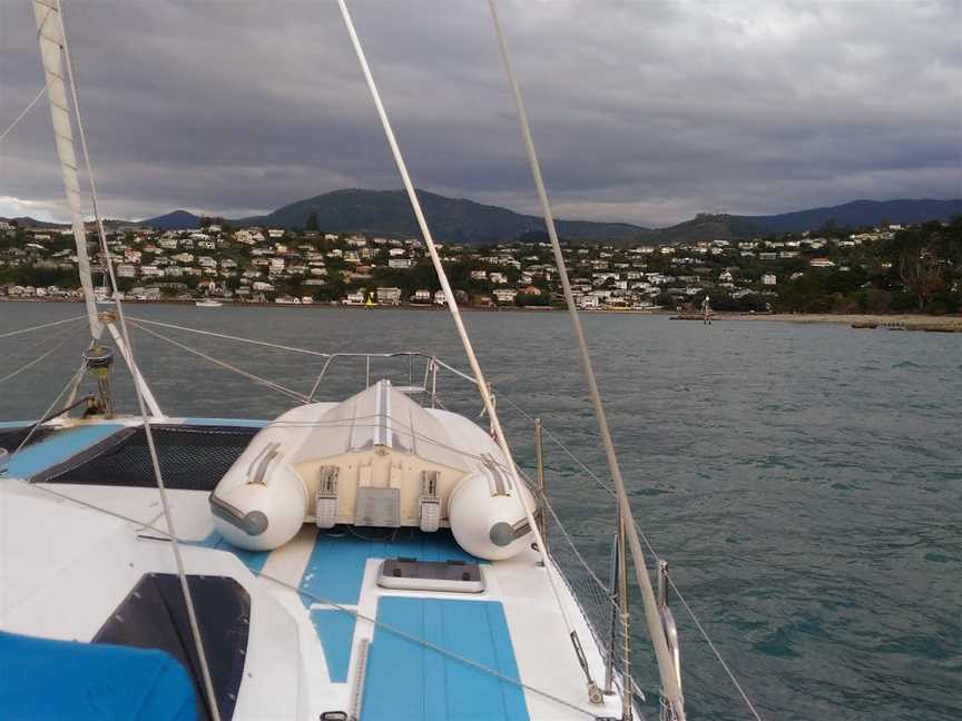 Catamaran Sailing Charters, Stepneyville, New Zealand