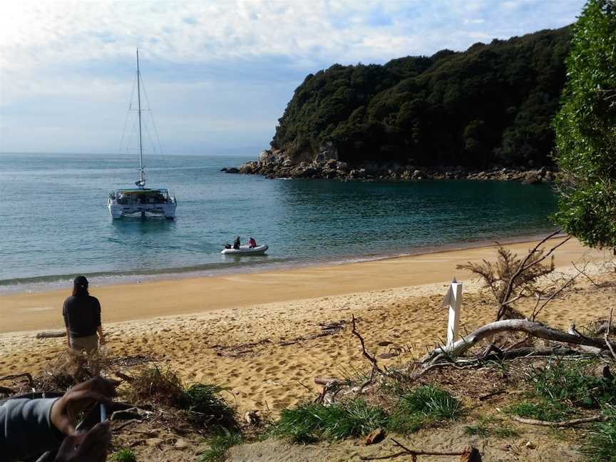 Catamaran Sailing Charters, Stepneyville, New Zealand