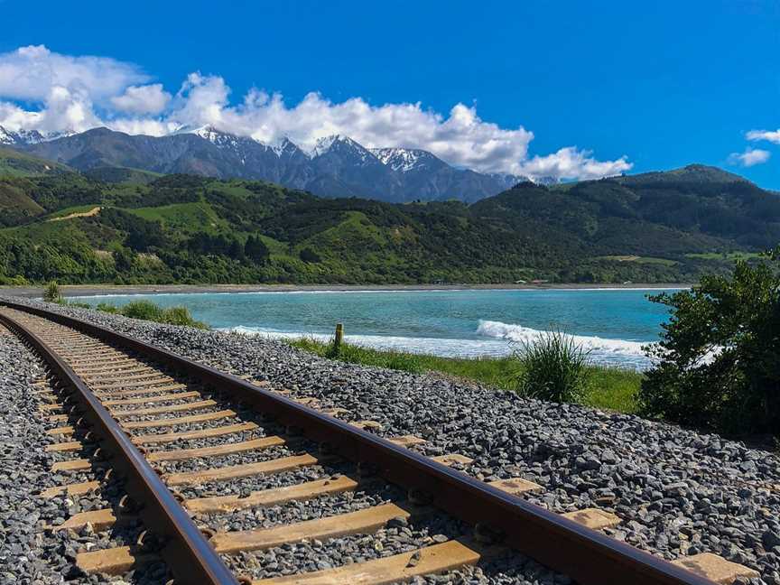 Cheeky Kea Tours, Tours in Christchurch