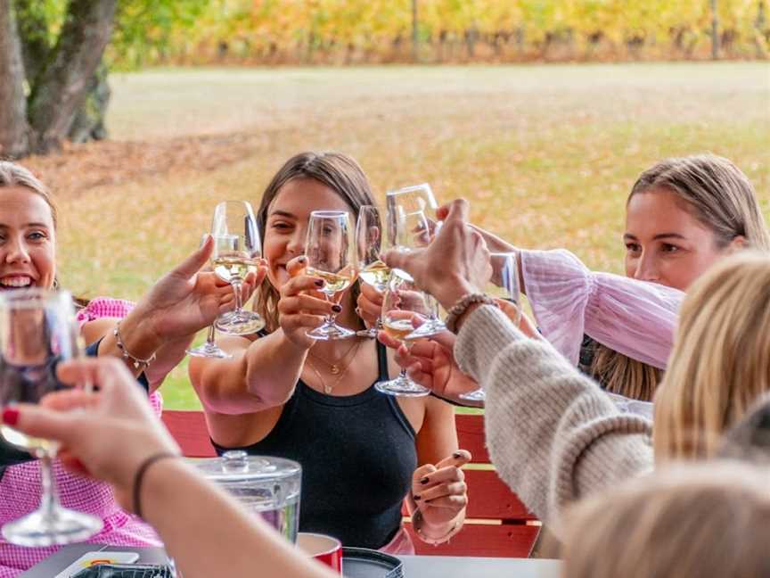 Cheeky Wine Tours, Parklands, New Zealand