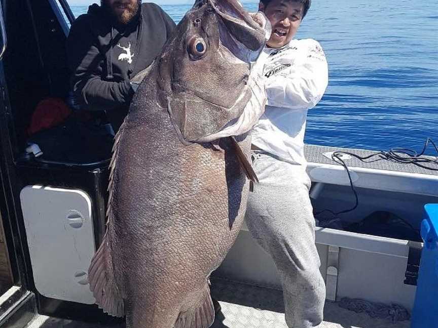 Club Talk Charters, Whakatane, New Zealand