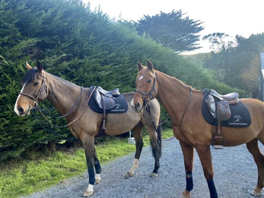 Cleveland Stables, Ohariu, New Zealand