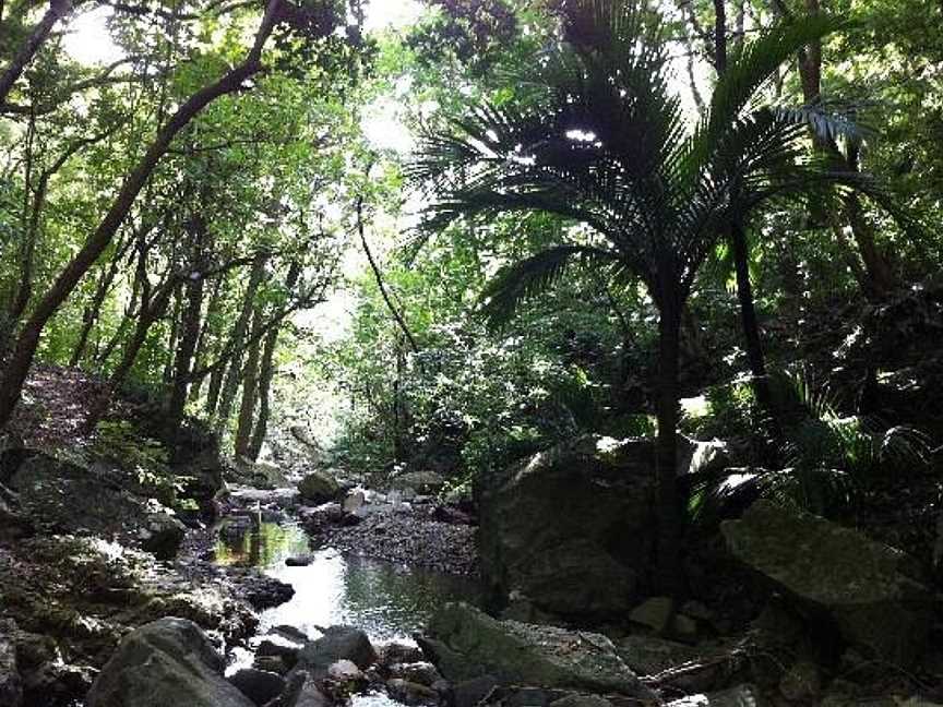 Coromandel Adventures, Coromandel, New Zealand