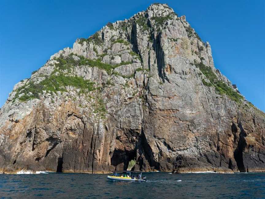 Coromandel Ocean Adventures, Tairua, New Zealand