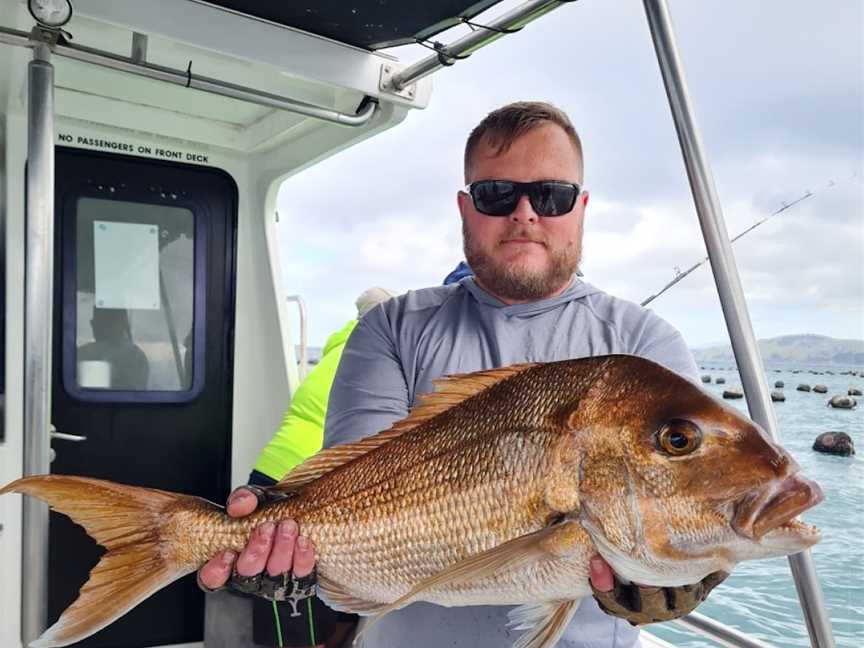 Coromandel Fishing Charters 2013, Coromandel, New Zealand