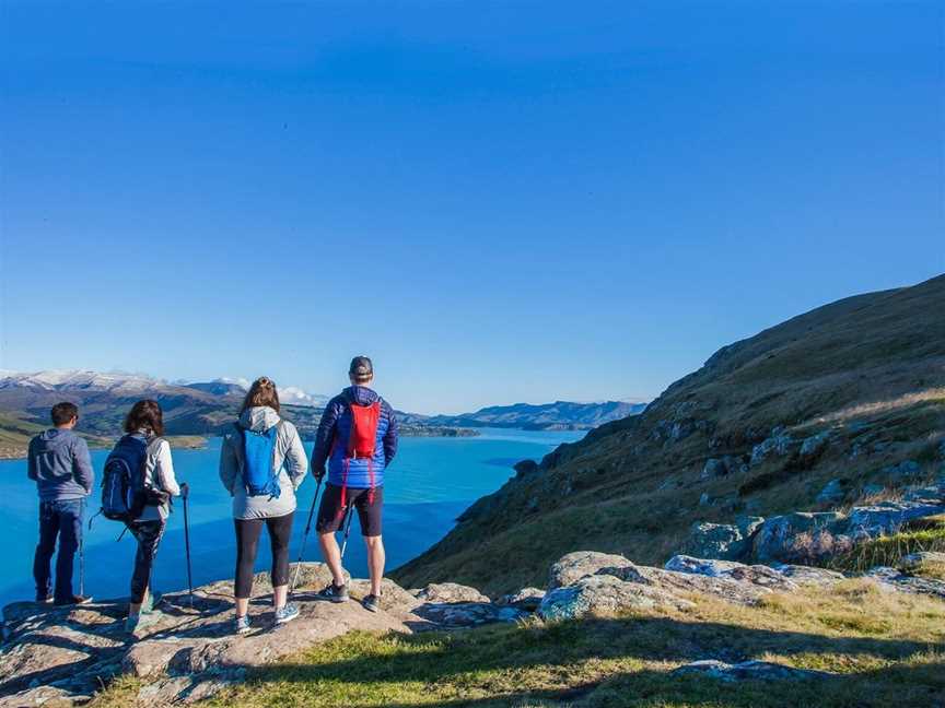 Crater Rim Walks, Christchurch, New Zealand