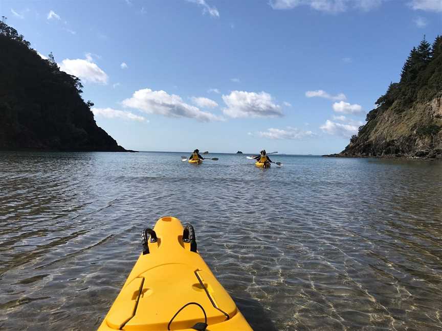 Coromandel Sea Kayaks, Whitianga, New Zealand