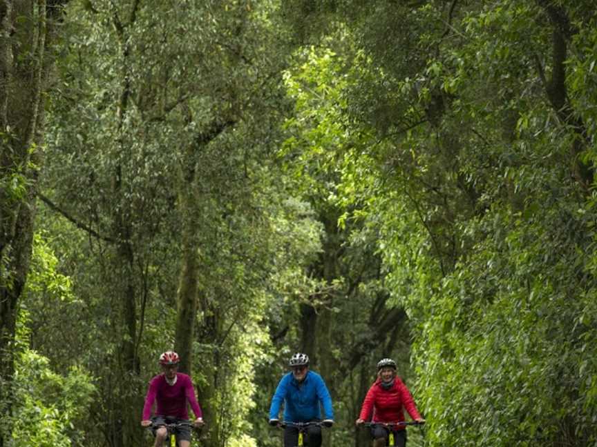 Cycle Journeys Nelson, Nelson, New Zealand