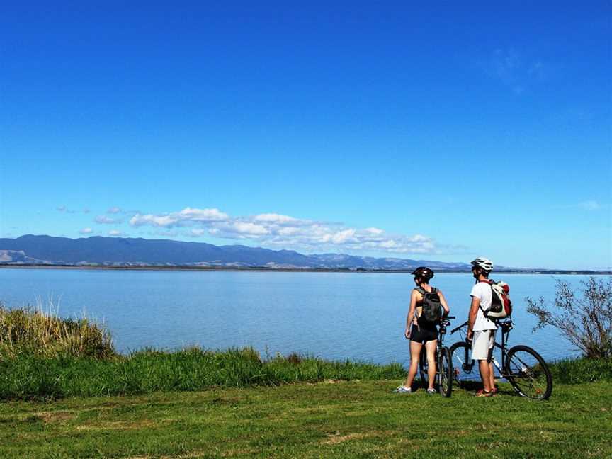 Cycle Remutaka, Days Bay, New Zealand