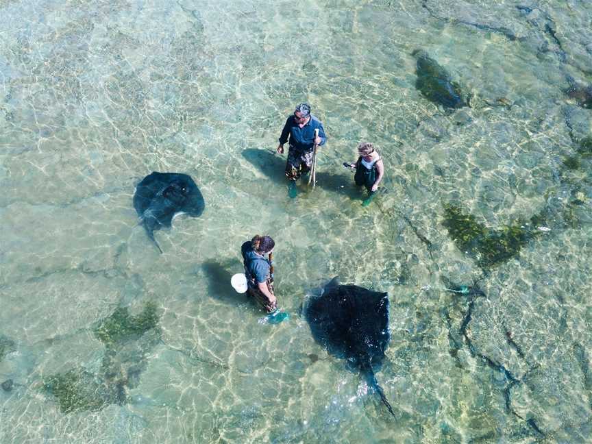 Dive Tatapouri, Gisborne, New Zealand