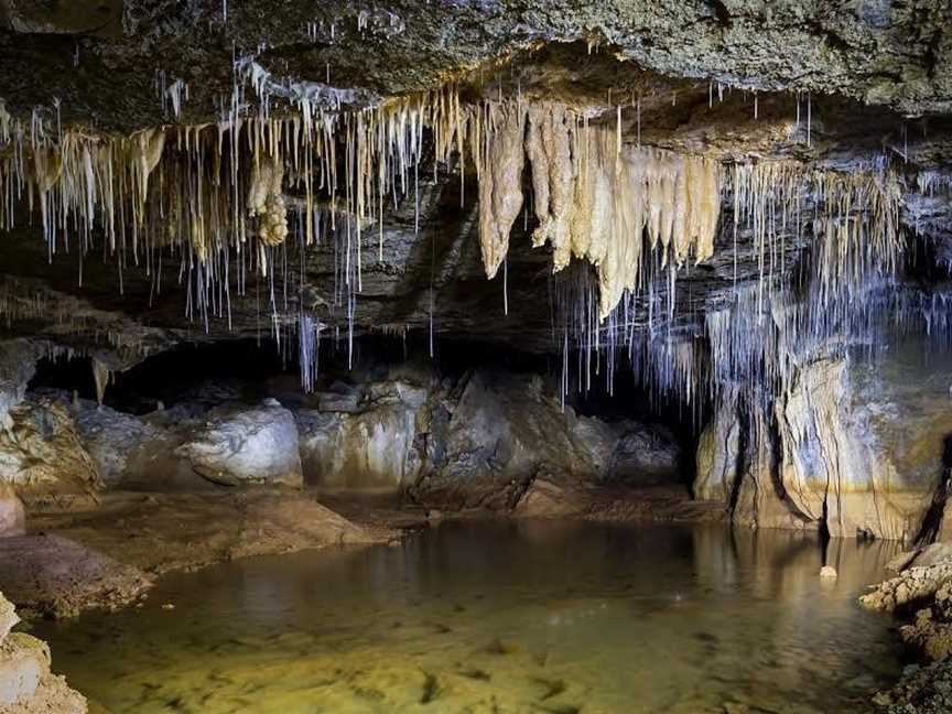 Down to Earth - Waitomo Eco Tours, Waitomo, New Zealand