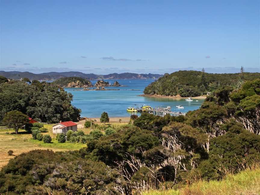 Dolphin Discoveries, Paihia, New Zealand