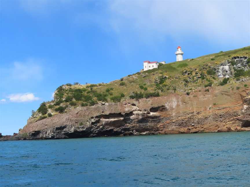 Eden Wildlife Cruises & Sea Kayaking, Dunedin, New Zealand