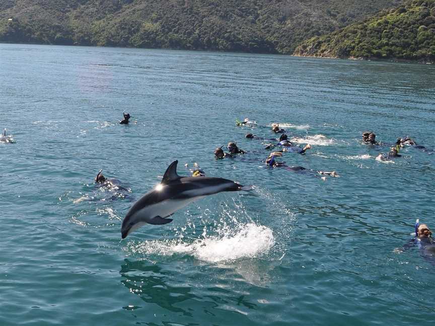 E-Ko Tours, Picton, New Zealand