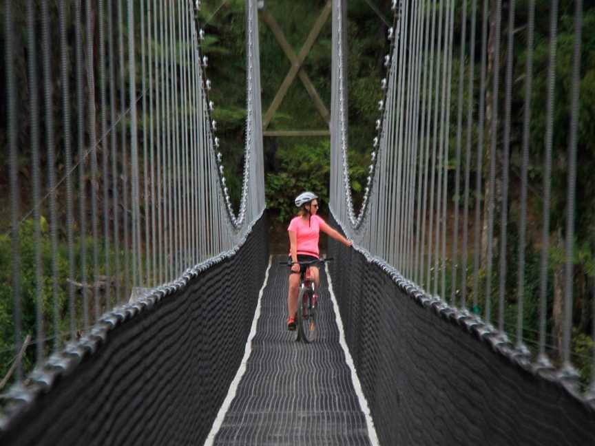 Epic Cycle Adventures, Ongarue, New Zealand