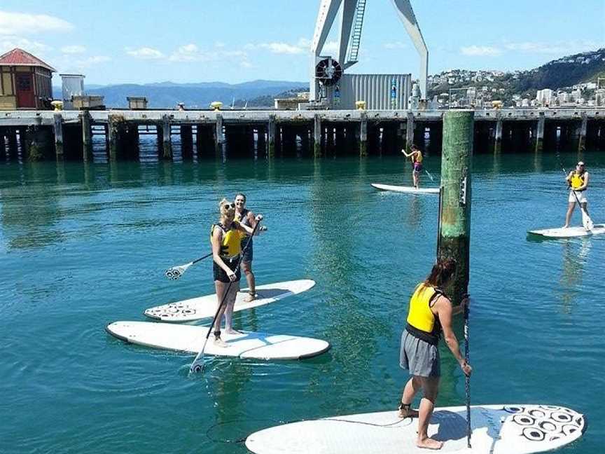 Fergs Kayaks, Wellington, New Zealand