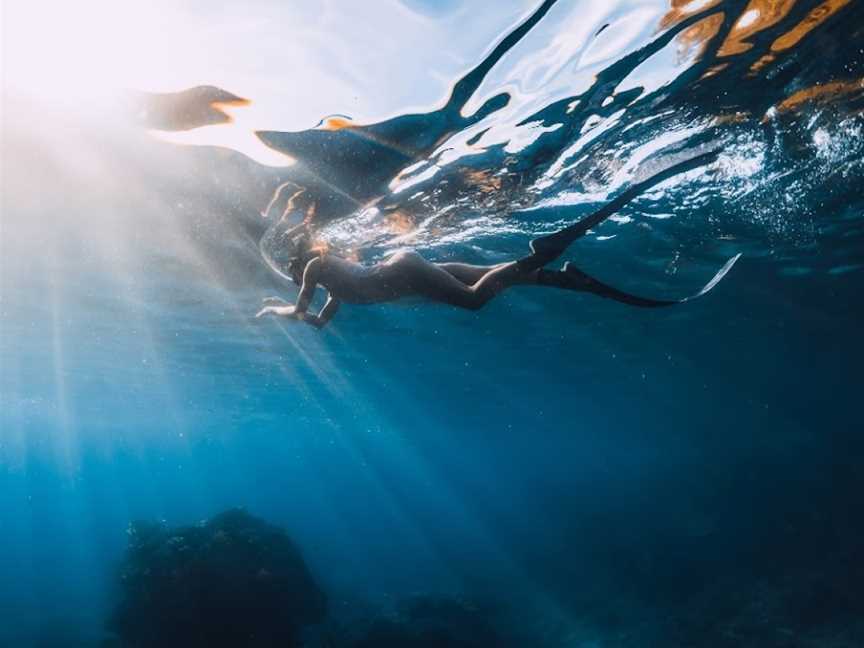 Freedive Aotearoa, Tutukaka, New Zealand