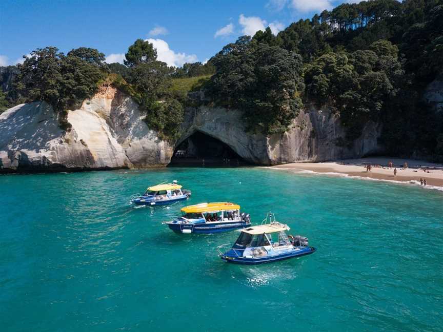 Glass Bottom Boat Whitianga, Whitianga, New Zealand