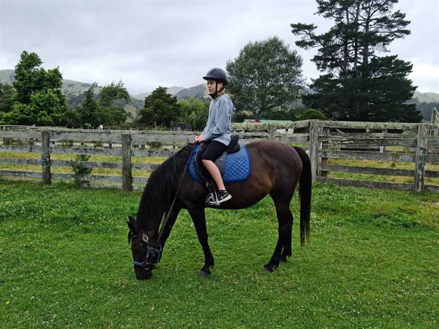 Gladstone horse treks, Flat Point, New Zealand