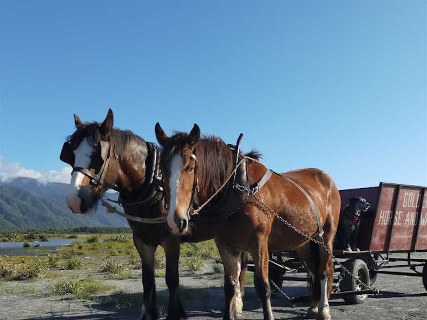 Golden Sands Horse And Wagon Tours, Barrytown, New Zealand