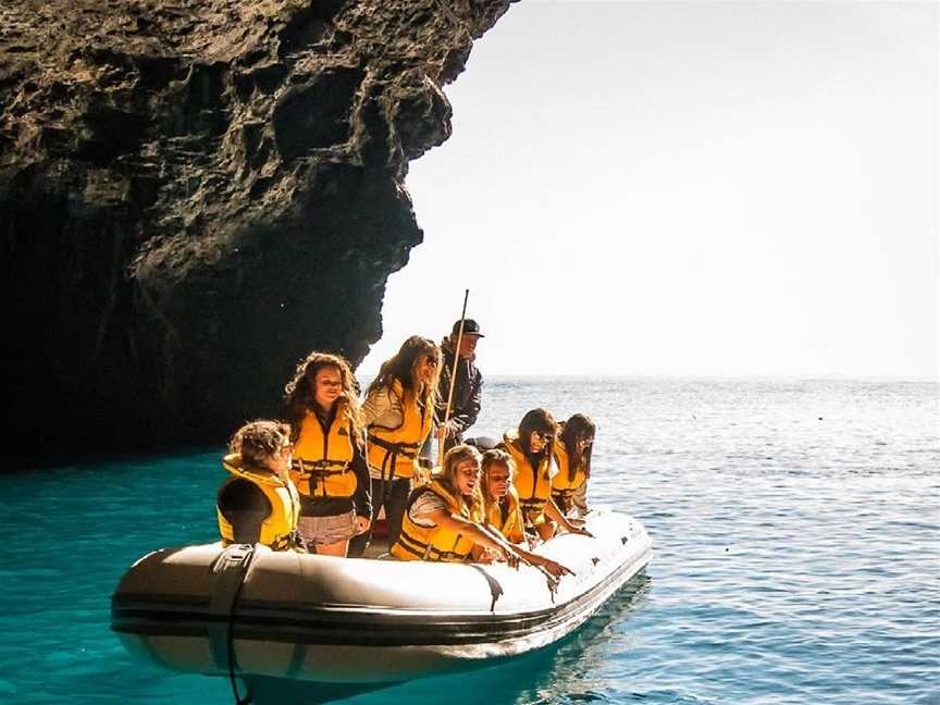 Hahei Explorer Cathedral Cove Boat Tour , Hahei, New Zealand