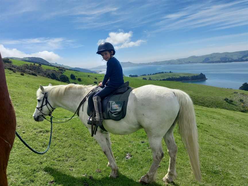 Hare Hill Horse Treks, Port Chalmers, New Zealand