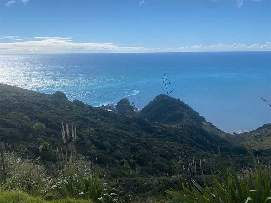 Harrisons Cape Runner, Kaitaia, New Zealand